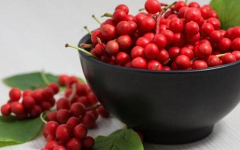 木兰浆果可防止对乙酰氨基酚引起的肝毒性