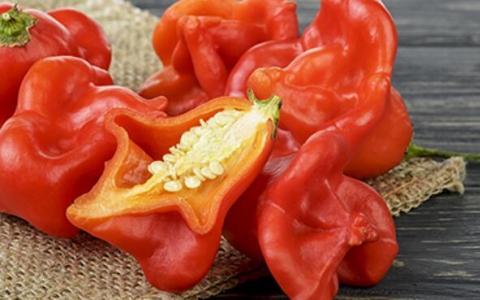 研究着眼于红辣椒作为天然抗炎剂的潜力