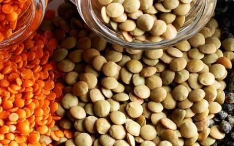 每周吃两次小扁豆可将患乳腺癌的风险降低24%