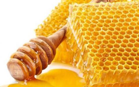 芦荟蜂蜜组合可以减少肿瘤进展