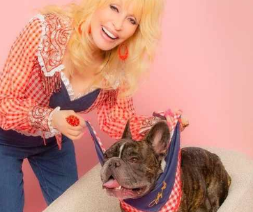 多莉帕顿推出狗狗帕顿犬类服装系列