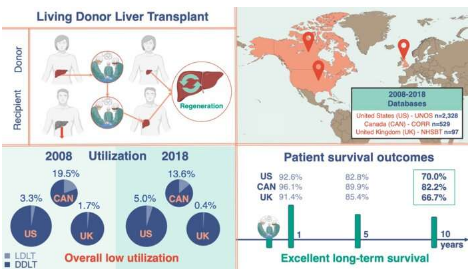 活体供体移植为肝移植患者提供了一种安全的选择