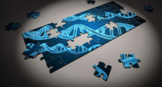 垃圾DNA的断裂为科学家提供了对神经系统疾病的新见解