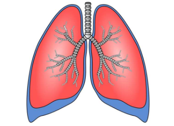 研究人员开发筛查工具以帮助早期诊断特发性肺纤维化