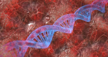 自由放养DNA的血液水平可能预示着早期发现痴呆和虚弱