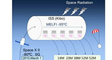 国际空间站实验揭示了未来人类太空飞行的风险