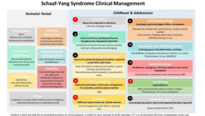 针对专业人士和家庭的第一个SchaafYang综合征临床指南