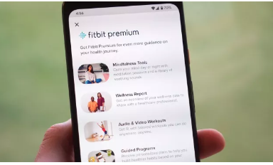 如何取消Fitbit Premium