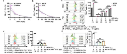 科学家揭示了新的TEV介导的αPD-L1特异性治疗耐药机制