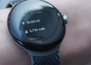为什么PixelWatch和Fitbit卡路里报告可能无法显示您的预期