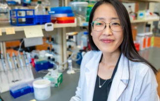 科学家发现早年创伤与暴食症之间可能存在的神经联系