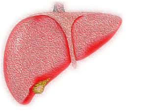 定位肝细胞癌中的乳糖组揭示了代谢适应的新机制
