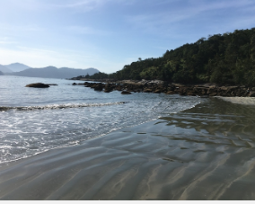 多学科跨境合作和稳定的资助水平扩展了对海洋的了解