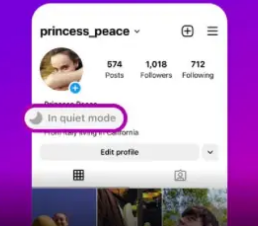 Instagram的安静模式将帮助您避免持续的卷轴共享