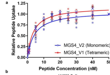 科学家开发出一种靶向肺部肿瘤并在细胞内提供治疗药物的肽