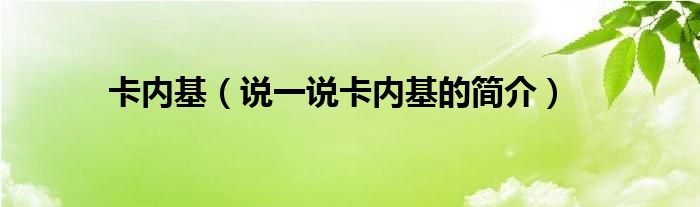 卡内基（说一说卡内基的简介）