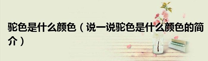 驼色是什么颜色（说一说驼色是什么颜色的简介）