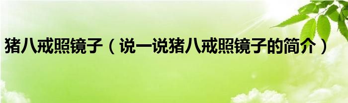 猪八戒照镜子（说一说猪八戒照镜子的简介）