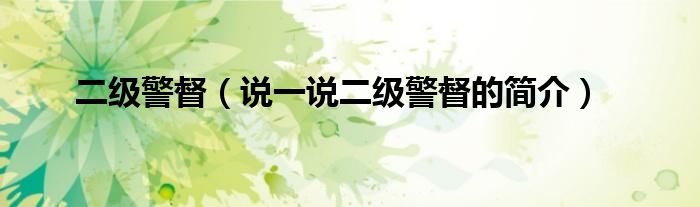 二级警督（说一说二级警督的简介）