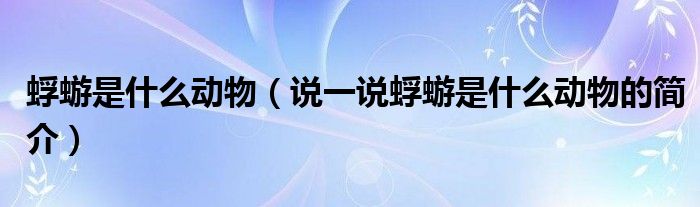 蜉蝣是什么动物（说一说蜉蝣是什么动物的简介）