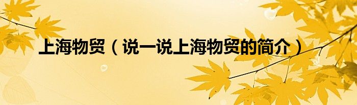上海物贸（说一说上海物贸的简介）