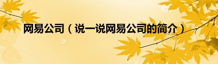 网易公司（说一说网易公司的简介）