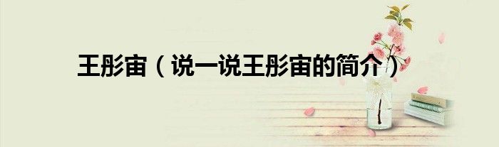 王彤宙（说一说王彤宙的简介）