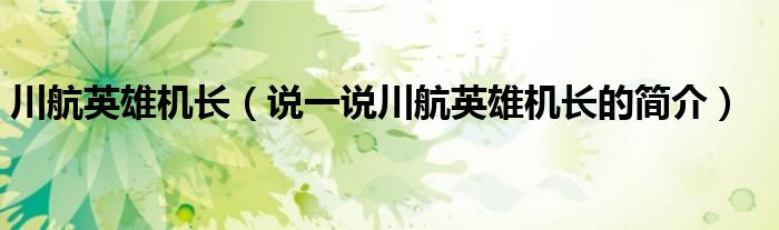川航英雄机长（说一说川航英雄机长的简介）
