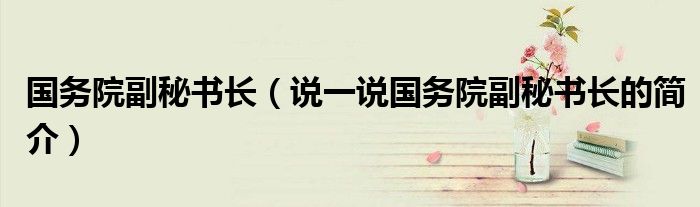 国务院副秘书长（说一说国务院副秘书长的简介）