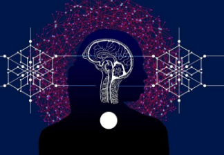 研究确定了负责运动技能学习的大脑变化