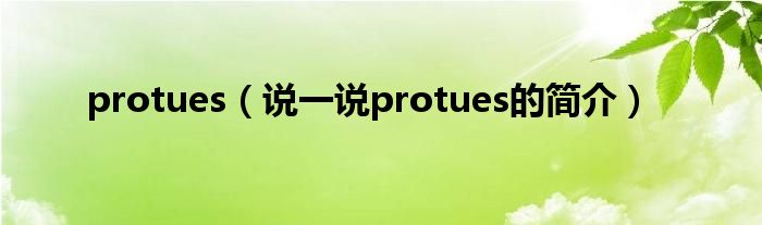 protues（说一说protues的简介）