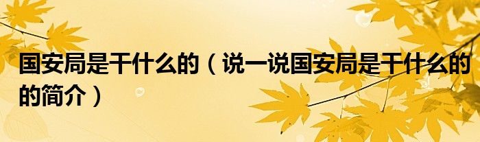 国安局是干什么的（说一说国安局是干什么的的简介）