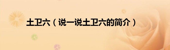 土卫六（说一说土卫六的简介）