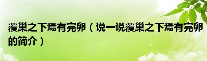 覆巢之下焉有完卵（说一说覆巢之下焉有完卵的简介）