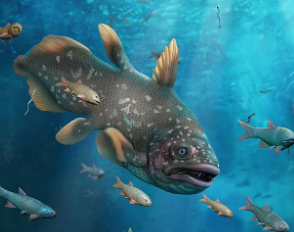 海洋生物在大规模灭绝之母之后迅速反弹