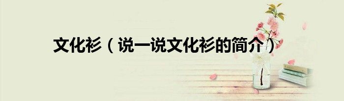 文化衫（说一说文化衫的简介）