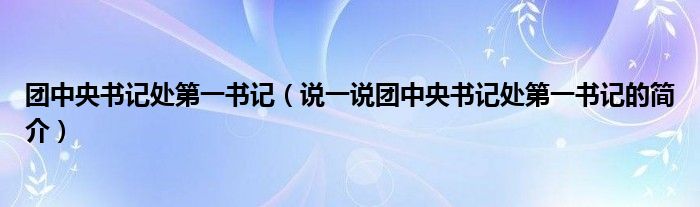 团中央书记处第一书记（说一说团中央书记处第一书记的简介）
