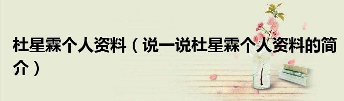 杜星霖个人资料（说一说杜星霖个人资料的简介）