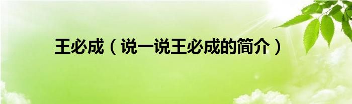 王必成（说一说王必成的简介）