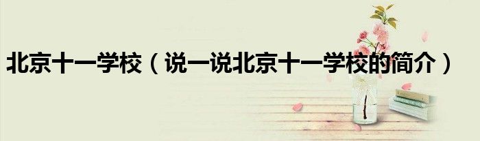 北京十一学校（说一说北京十一学校的简介）