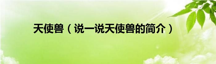 天使兽（说一说天使兽的简介）