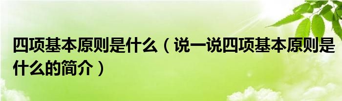 四项基本原则是什么（说一说四项基本原则是什么的简介）