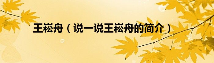 王崧舟（说一说王崧舟的简介）