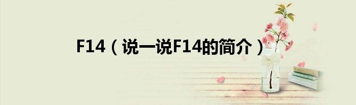 F14（说一说F14的简介）