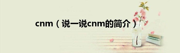 cnm（说一说cnm的简介）