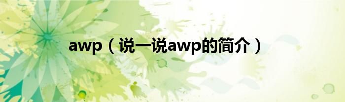 awp（说一说awp的简介）