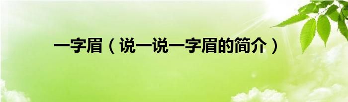 一字眉（说一说一字眉的简介）