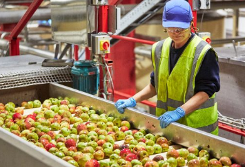 Westons Cider宣布投资200万英镑