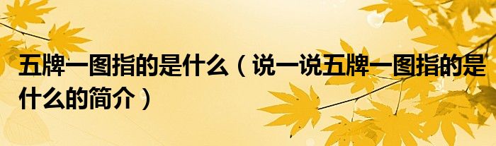 五牌一图指的是什么（说一说五牌一图指的是什么的简介）