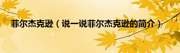 菲尔杰克逊（说一说菲尔杰克逊的简介）